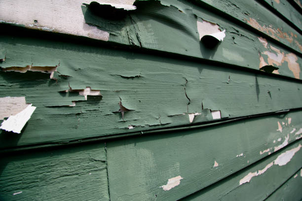Best Siding for New Construction  in Johnson Creek, WI