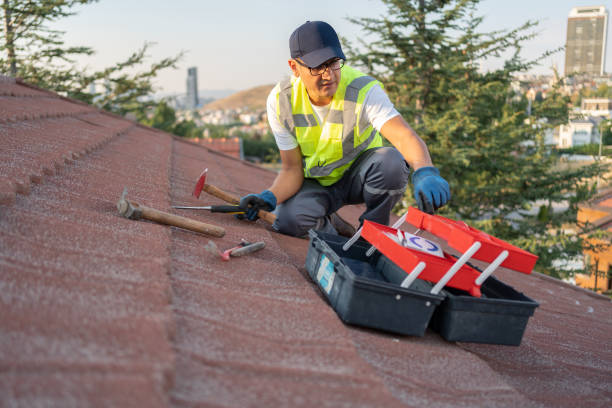 Best Fiber Cement Siding Installation  in Johnson Creek, WI